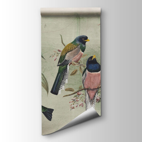 A group of birds on a branch A group of birds on a branch