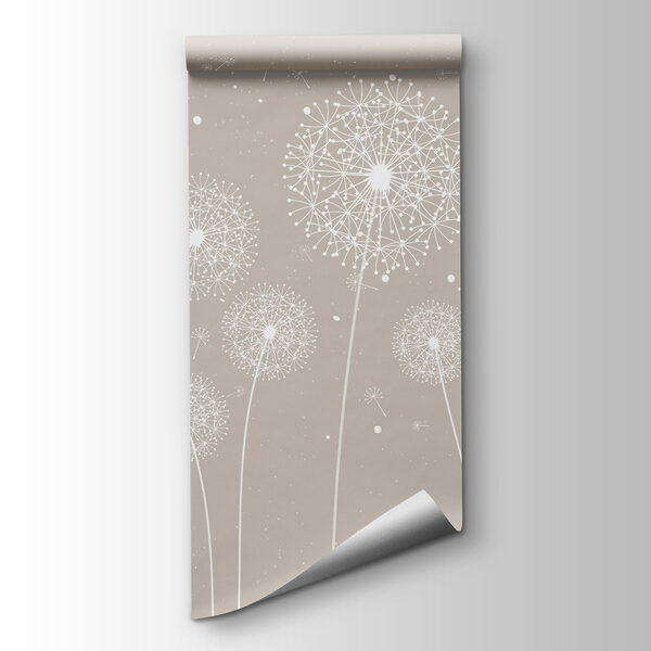 A white dandelions on a grey background