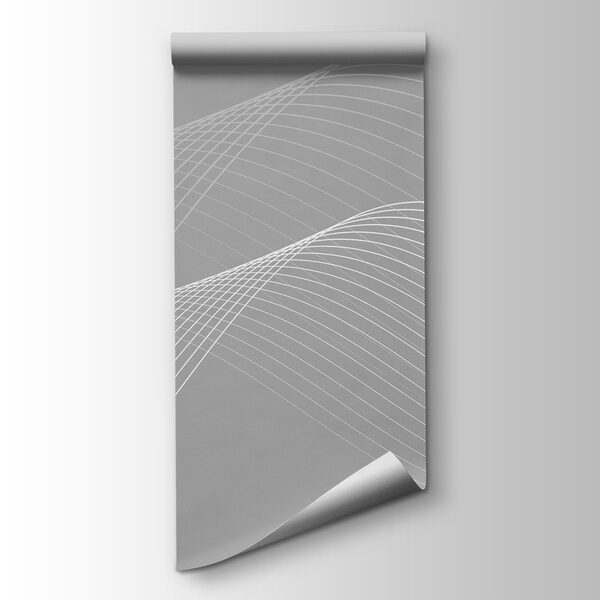White lines on a gray background
