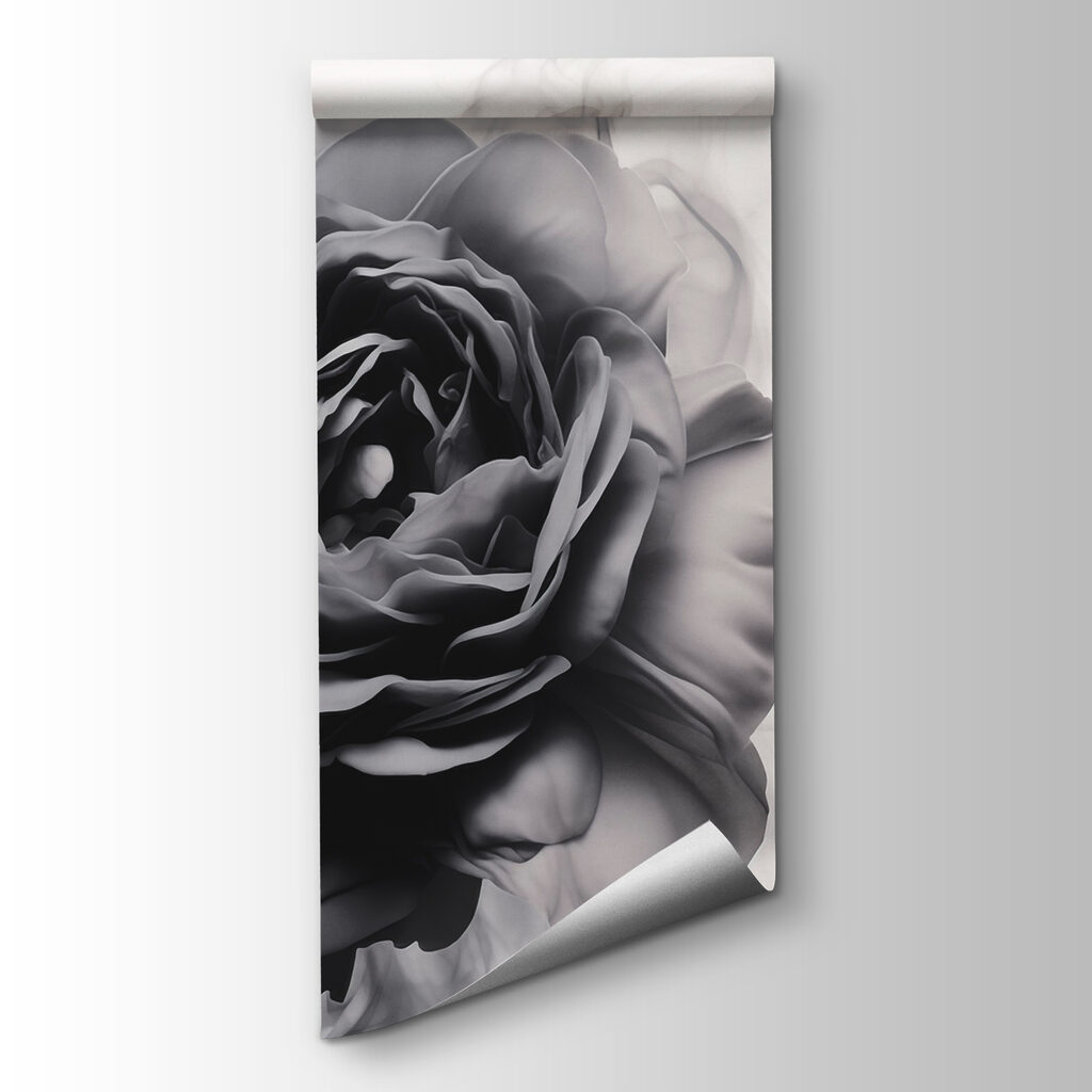 Black and white image of a rose