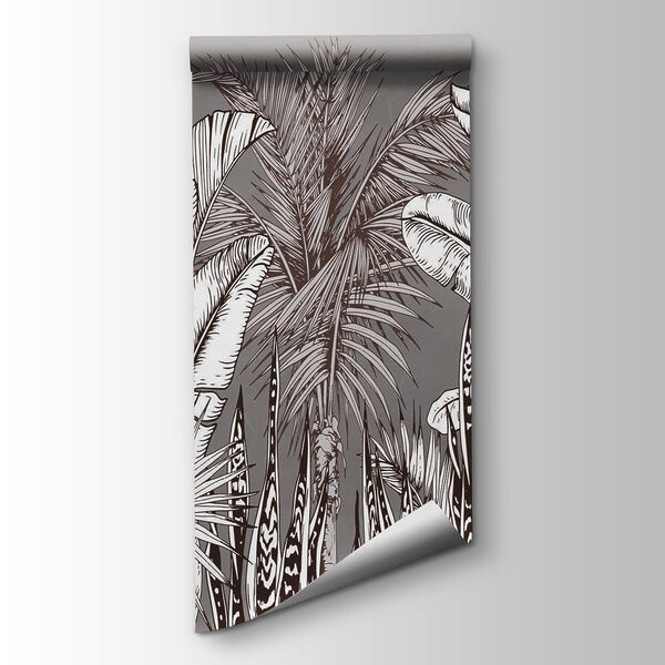 Group of plants with different leaves Group of plants with different leaves