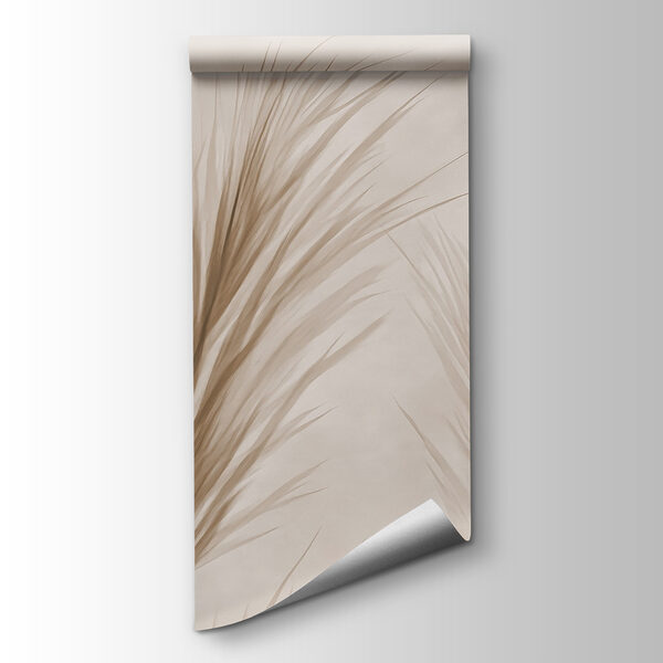 Delicate grass against a soft background Delicate grass against a soft background