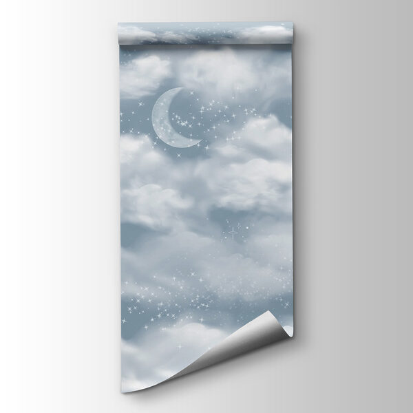 Moon in the sky