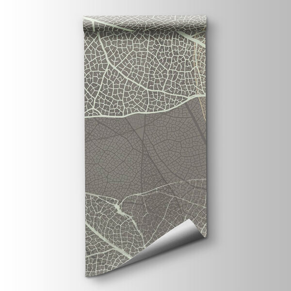 Delicate patterns of leaf veins