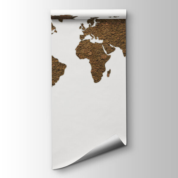 Map of the world