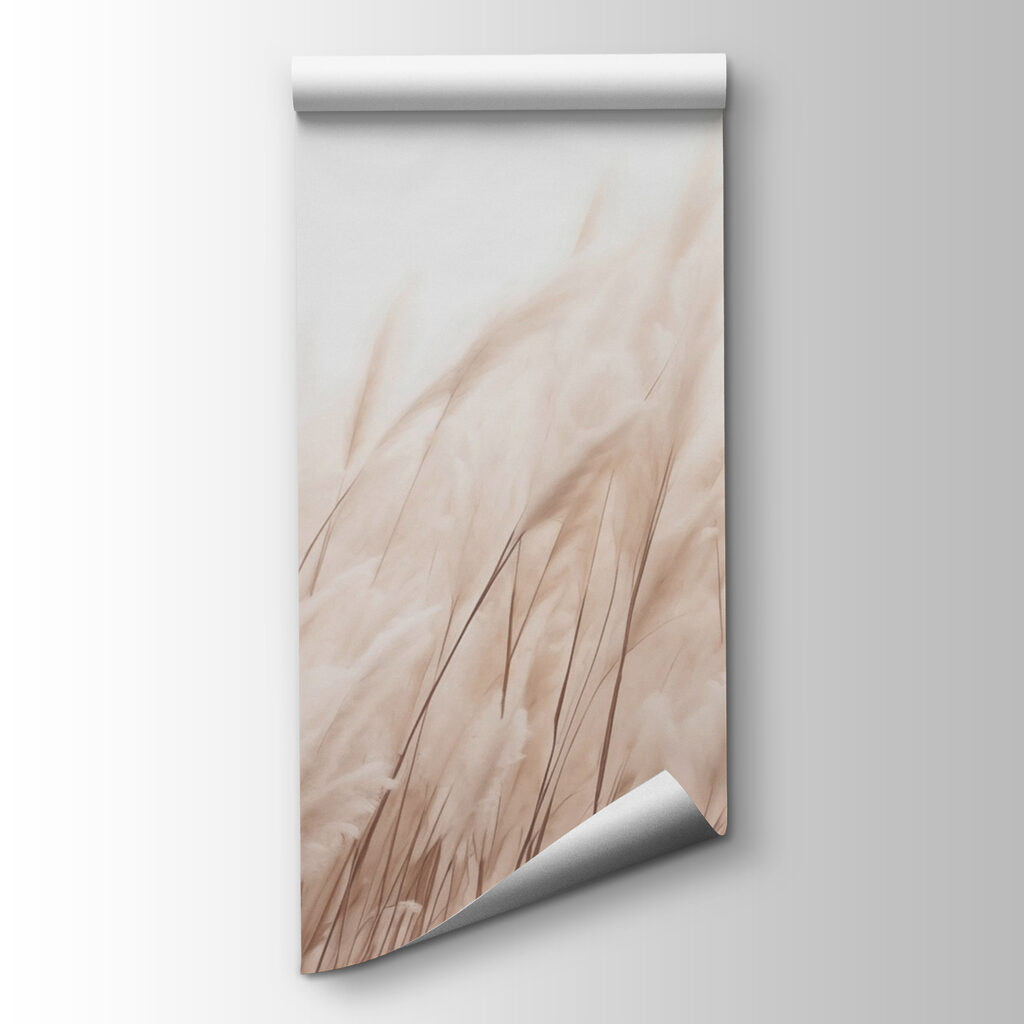 Soft grasses in gentle sunlight Soft grasses in gentle sunlight