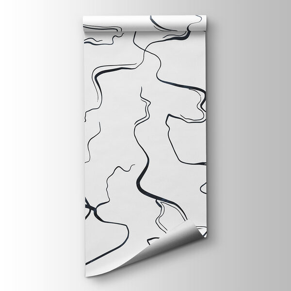 Black and white image of lines Black and white image of lines