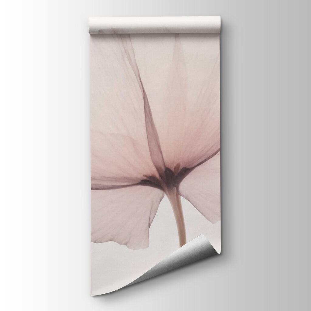 Delicate bloom on a soft backdrop