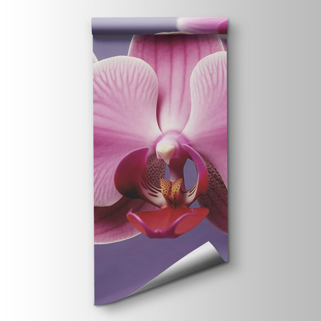 Delicate orchids in soft hues