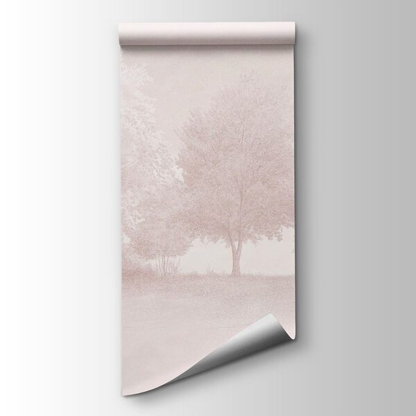 Group of trees in a foggy area Group of trees in a foggy area