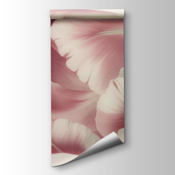 Delicate pink tulip in bloom Delicate pink tulip in bloom