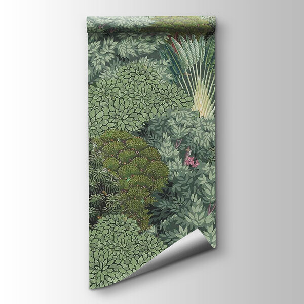 Large group of trees Large group of trees