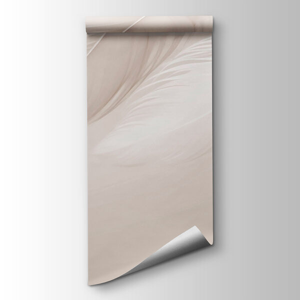 Delicate feathers on soft backdrop