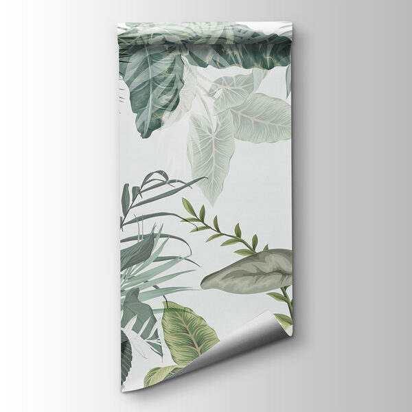 Nature's tranquil green tapestry unfolds Nature's tranquil green tapestry unfolds