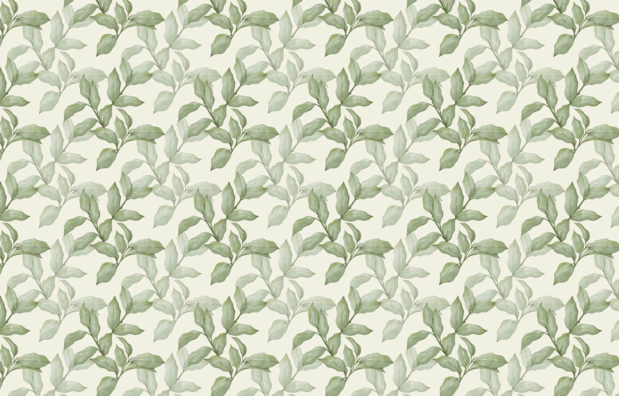 Pattern of leaves on a white background Pattern of leaves on a white background