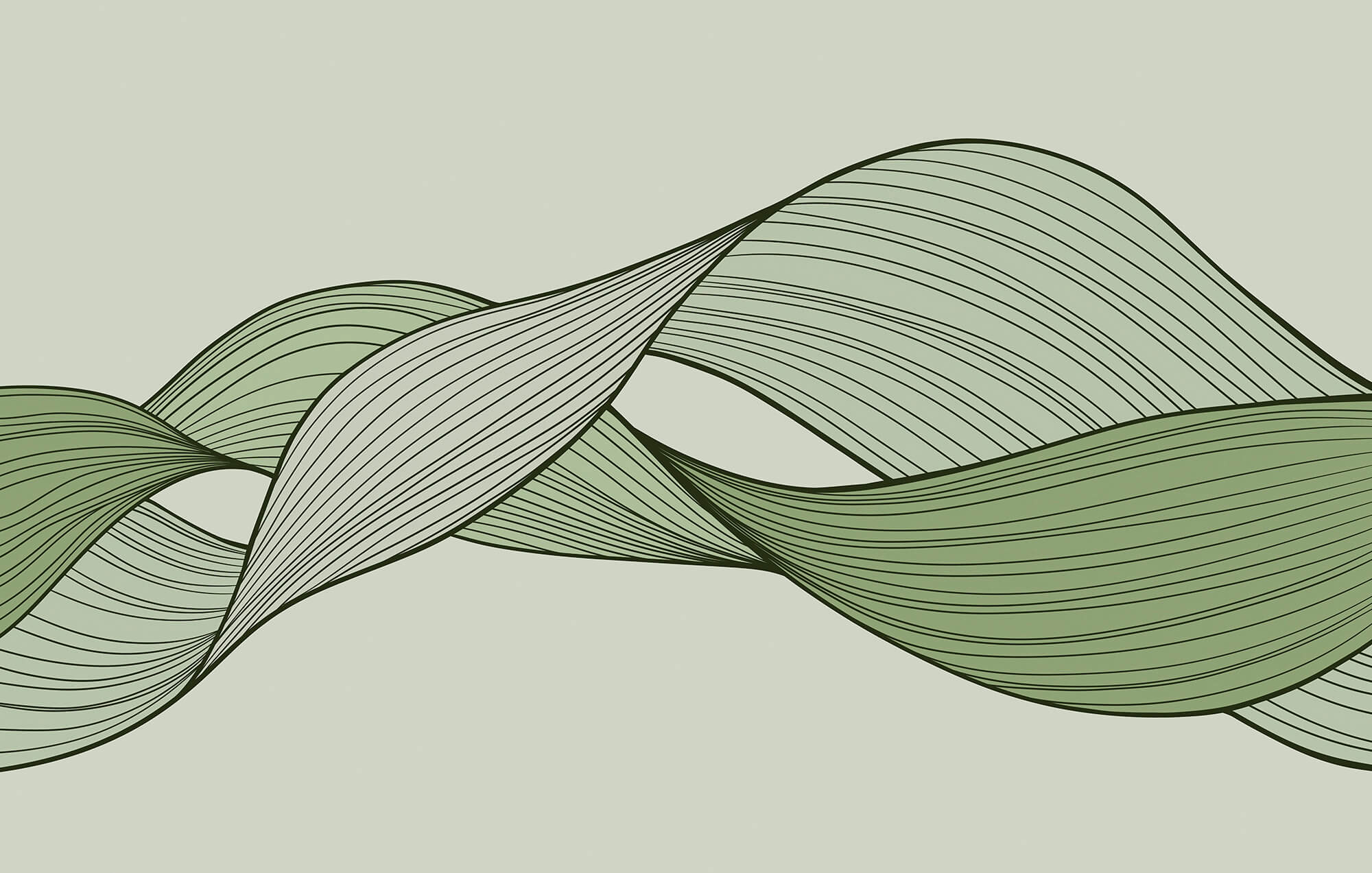 Green and black wavy lines