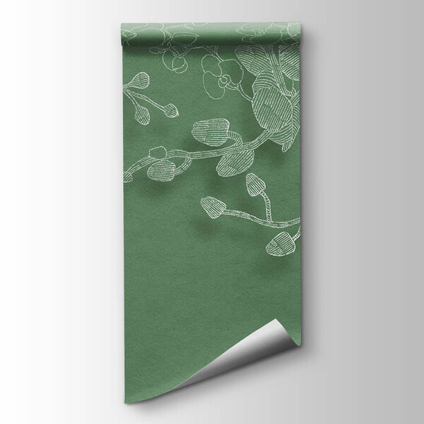 Delicate orchids against a green backdrop Delicate orchids against a green backdrop