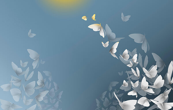 Group of butterflies flying in the sky