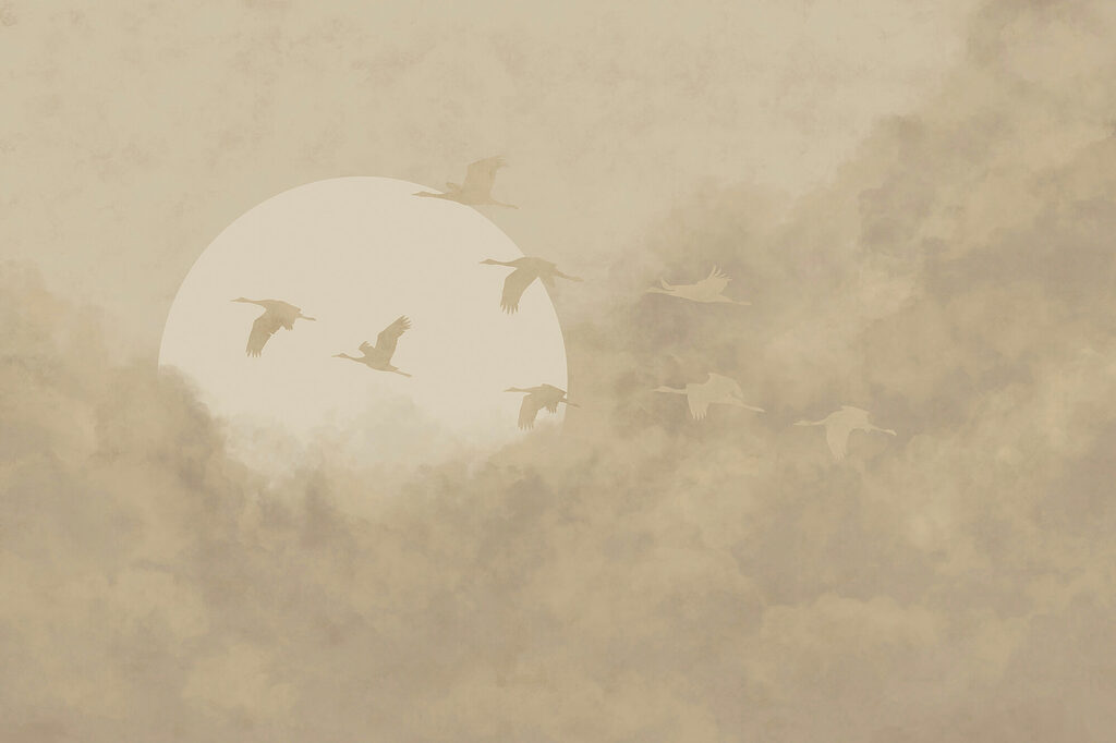 Birds flying in the sky