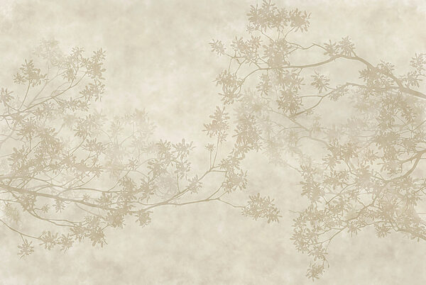 Tree branches with leaves