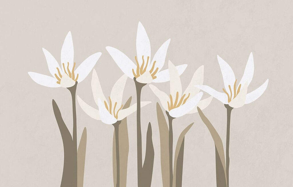 Group of white flowers