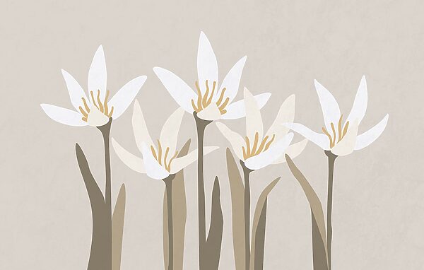 Group of white flowers