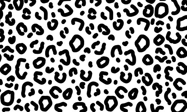 Black and white pattern Black and white pattern