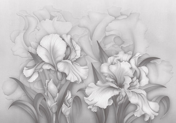 Elegant blooms in soft grayscale tones Elegant blooms in soft grayscale tones
