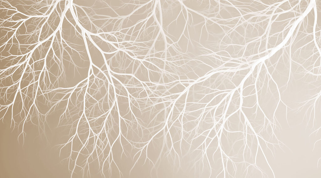 White branches on a beige background White branches on a beige background