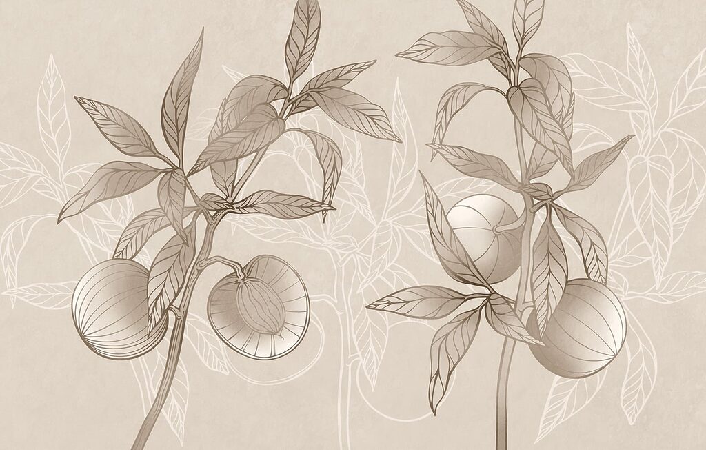 Drawing of a plant with leaves and fruit Drawing of a plant with leaves and fruit