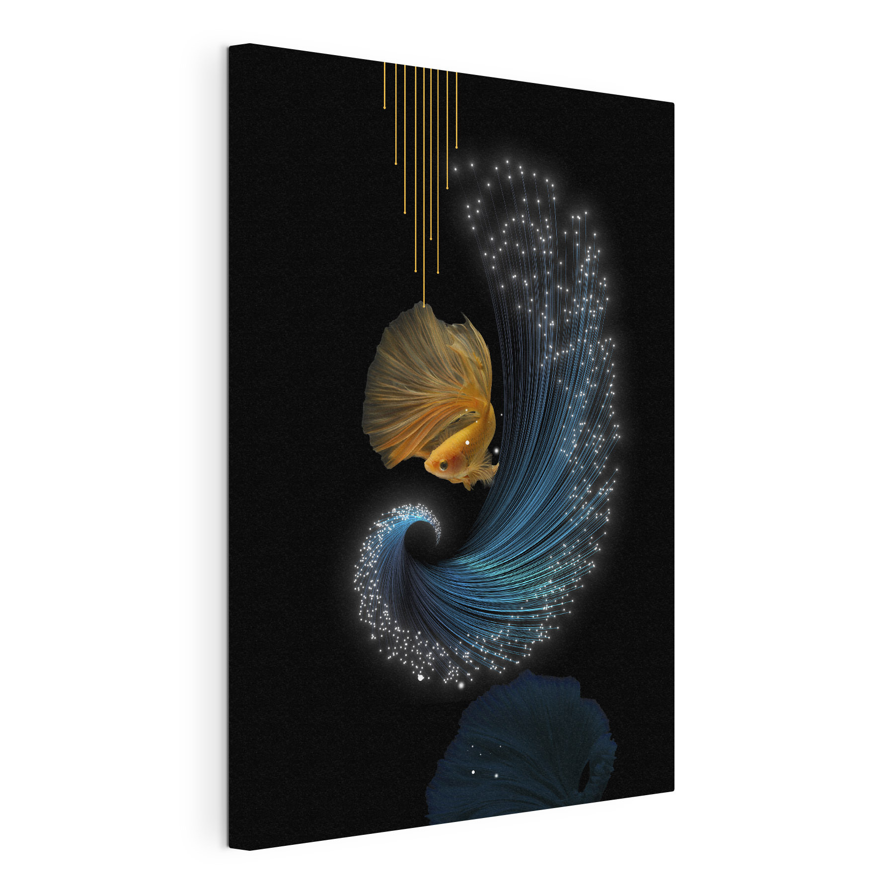 Betta fish adorned in shimmering light Betta fish adorned in shimmering light