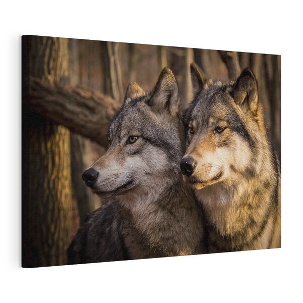 Een paar wolven in het bos Canvas Schilderijen Een paar wolven in het bos