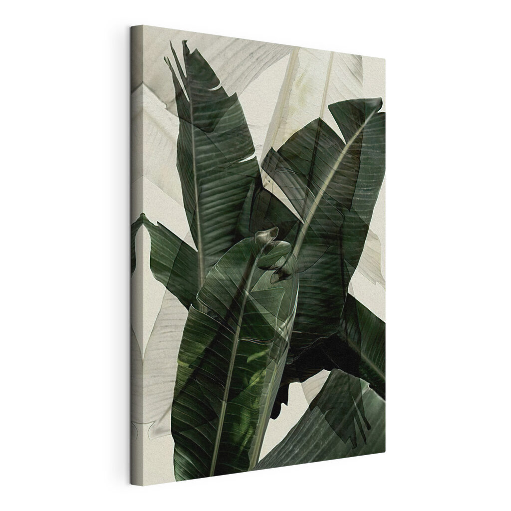 A close up of a plant