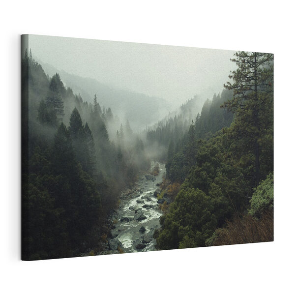 Een rivier door een bos Canvas Schilderijen Een rivier door een bos