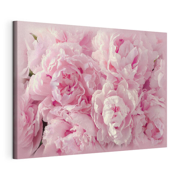 Canvas Schilderijen Een groep roze bloemen (Artikelnummer: s35248) Canvas Schilderijen Canvas Schilderijen Een groep roze bloemen (Artikelnummer: s35248)