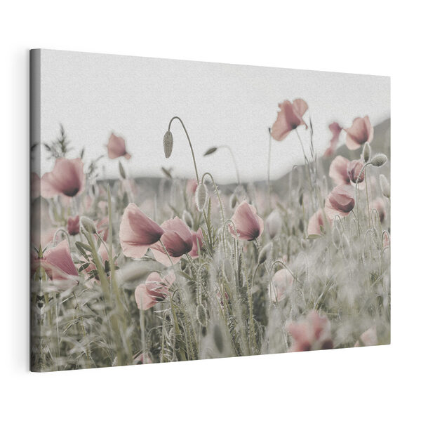 Canvas Schilderijen Een veld vol roze bloemen (Artikelnummer: s35592) Canvas Schilderijen Canvas Schilderijen Een veld vol roze bloemen (Artikelnummer: s35592)