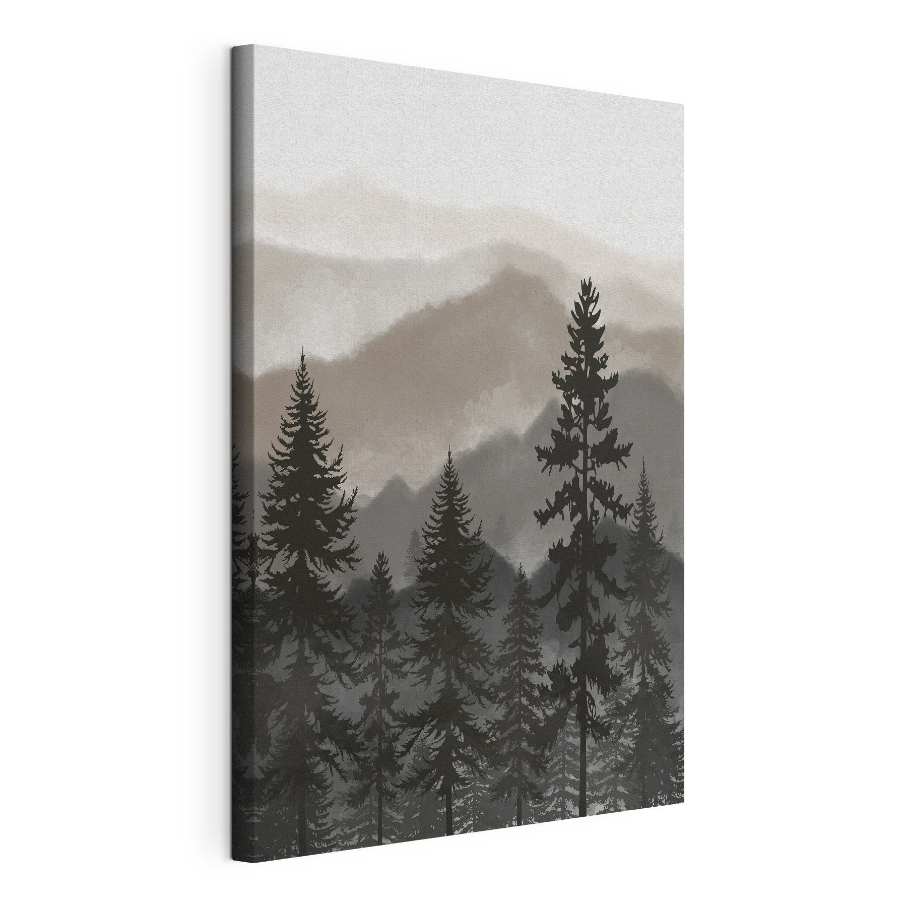 A group of trees in a forest A group of trees in a forest