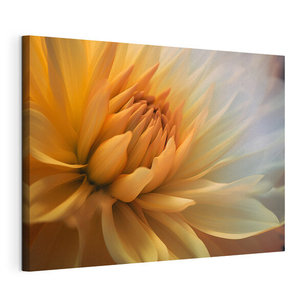 Canvas Schilderijen Canvas Schilderijen Een close-up van een bloem (Artikelnummer: s37388)