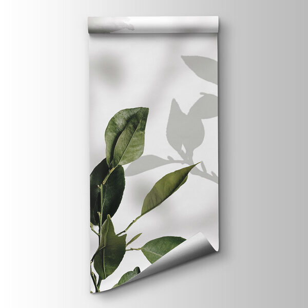 Group of leaves and branches