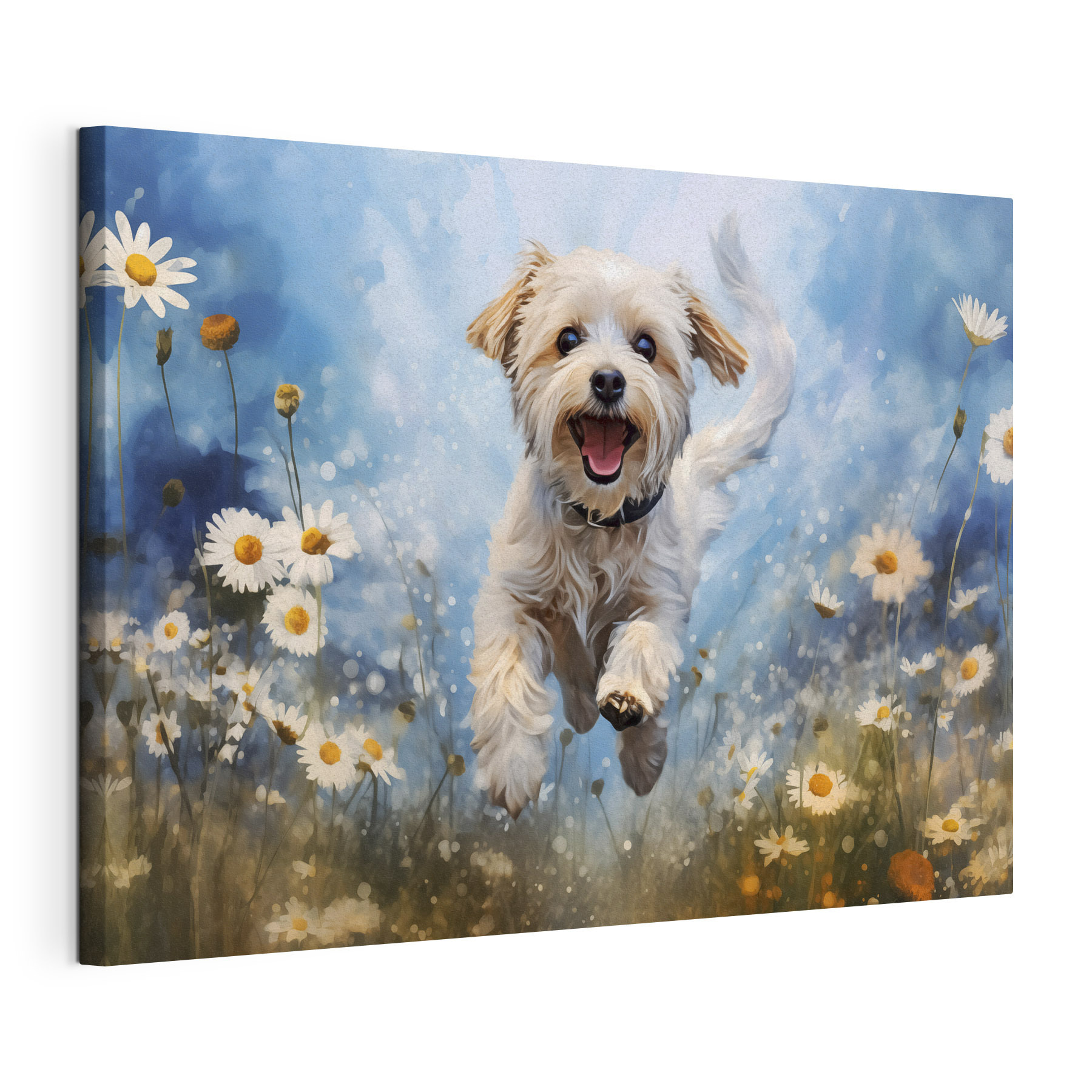 Dog jumping in the air