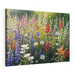 Veld met kleurrijke bloemen Canvas Schilderijen Veld met kleurrijke bloemen