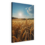 Canvas Schilderijen Tarweveld met de zon op de achtergrond
