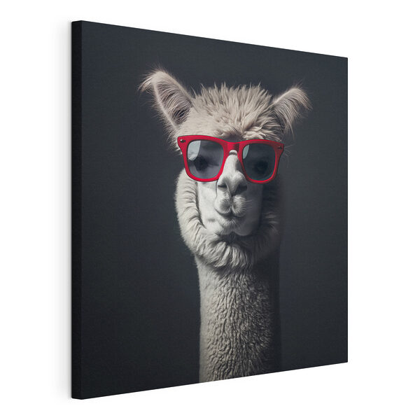 Canvas Schilderijen Lama met rode zonnebril (Artikelnummer: s40996) Canvas Schilderijen Canvas Schilderijen Lama met rode zonnebril (Artikelnummer: s40996)