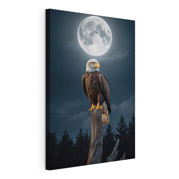 Canvas Schilderijen Zeearend op een paal met volle maan op de achtergrond (Artikelnummer: s41043) Canvas Schilderijen Canvas Schilderijen Zeearend op een paal met volle maan op de achtergrond (Artikelnummer: s41043)