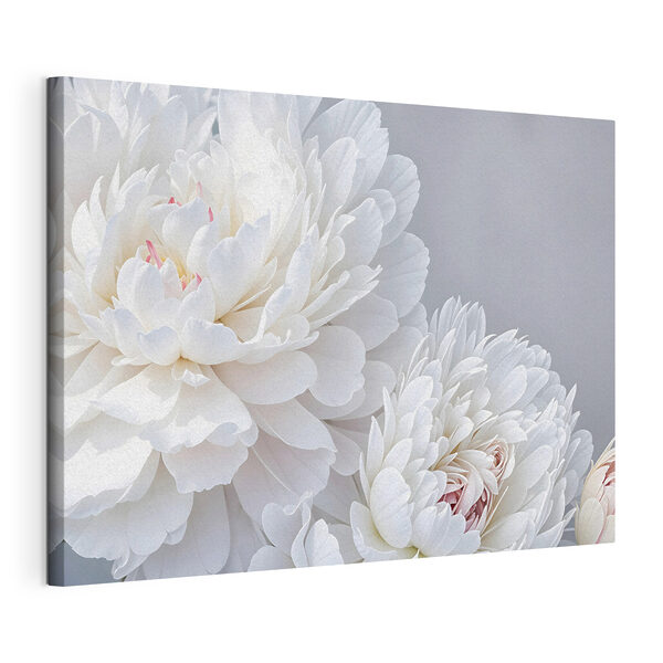 Close-up van witte bloemen Canvas Schilderijen Close-up van witte bloemen