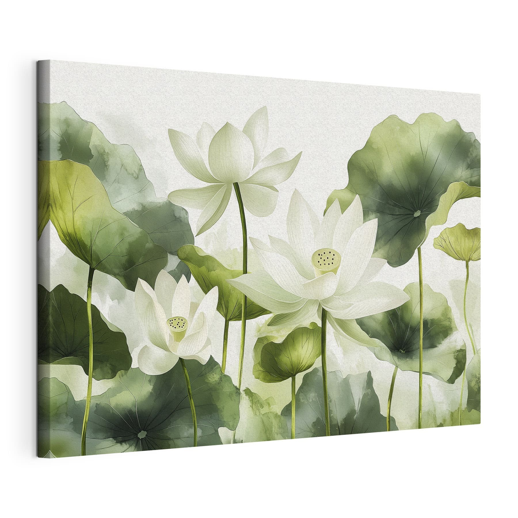 Group of white flowers with green leaves Group of white flowers with green leaves