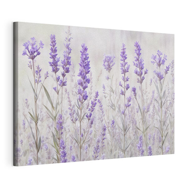 Canvas Schilderijen Groep paarse bloemen (Artikelnummer: s41265) Canvas Schilderijen Canvas Schilderijen Groep paarse bloemen (Artikelnummer: s41265)
