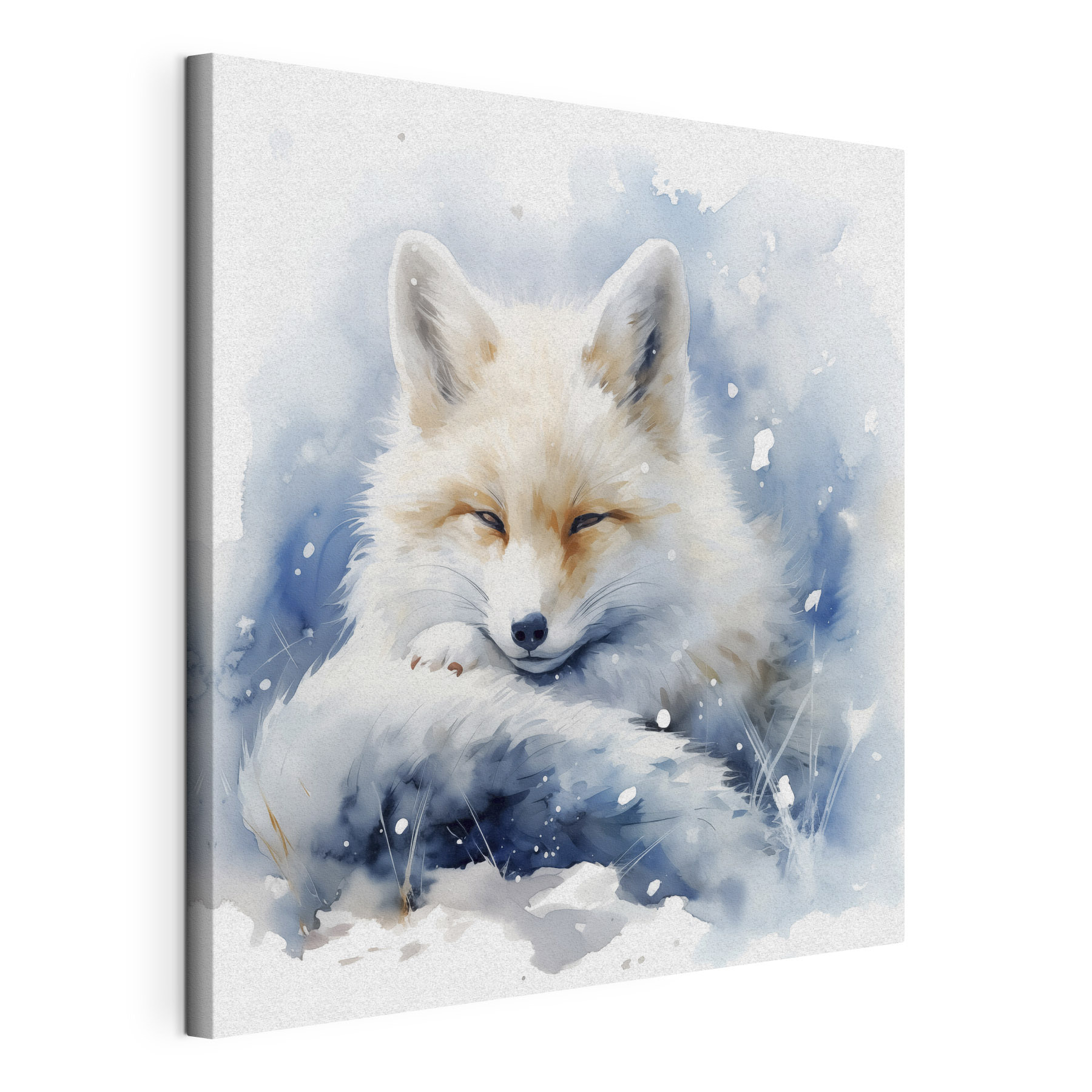 Watercolor of a fox lying in the snow Watercolor of a fox lying in the snow