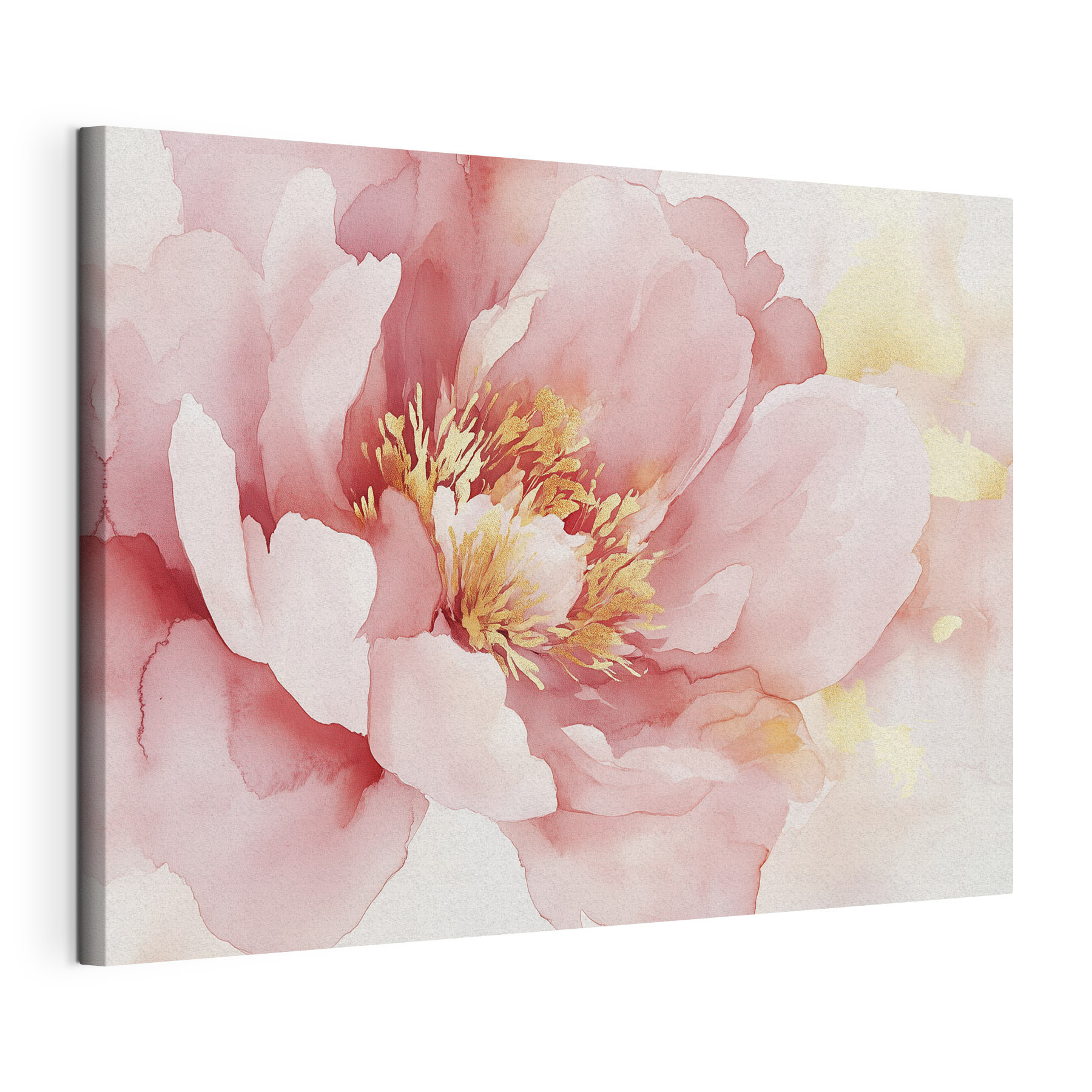 Delicate petals in soft hues