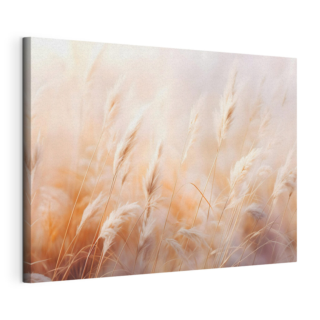 Soft grasses dancing in the breeze Soft grasses dancing in the breeze
